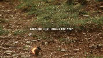 Free download A l t o video and edit with RedcoolMedia movie maker MovieStudio video editor online and AudioStudio audio editor onlin