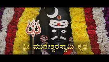 Free download Alyu video and edit with RedcoolMedia movie maker MovieStudio video editor online and AudioStudio audio editor onlin