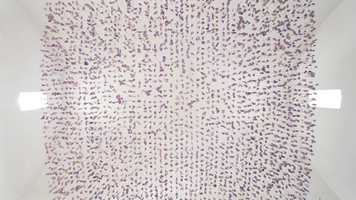 Free download Amaranta Sea/Sky 2011 video and edit with RedcoolMedia movie maker MovieStudio video editor online and AudioStudio audio editor onlin