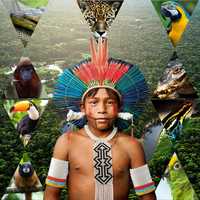 Free download Amazonas video and edit with RedcoolMedia movie maker MovieStudio video editor online and AudioStudio audio editor onlin