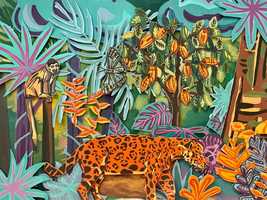 Free download Amazon Rainforest Ecosystem Stop-motion Animation video and edit with RedcoolMedia movie maker MovieStudio video editor online and AudioStudio audio editor onlin