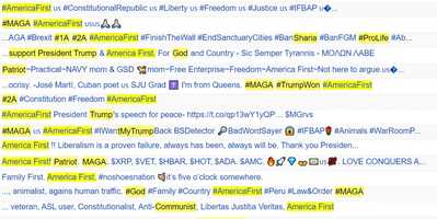 Free download America First Twitter Identities in Their Own Words video and edit with RedcoolMedia movie maker MovieStudio video editor online and AudioStudio audio editor onlin