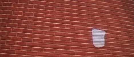 Free download American beauty_ plastic scene video and edit with RedcoolMedia movie maker MovieStudio video editor online and AudioStudio audio editor onlin