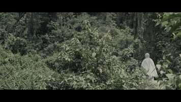 Free download Amma-Short FiLm video and edit with RedcoolMedia movie maker MovieStudio video editor online and AudioStudio audio editor onlin