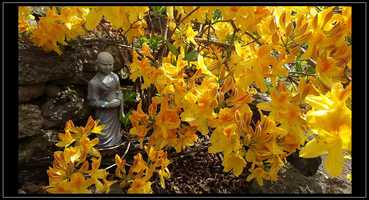 Free download A Movie For Mom video and edit with RedcoolMedia movie maker MovieStudio video editor online and AudioStudio audio editor onlin