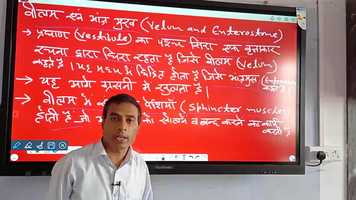 Free download Amphioxus Alimentary Canal video and edit with RedcoolMedia movie maker MovieStudio video editor online and AudioStudio audio editor onlin