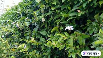 Free download Amv video and edit with RedcoolMedia movie maker MovieStudio video editor online and AudioStudio audio editor onlin