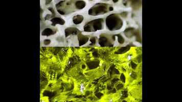 Free download Amy Karle: A Space In-Between Art and Science video and edit with RedcoolMedia movie maker MovieStudio video editor online and AudioStudio audio editor onlin