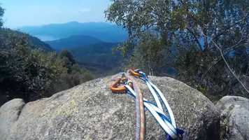 Free download Anaconda video and edit with RedcoolMedia movie maker MovieStudio video editor online and AudioStudio audio editor onlin