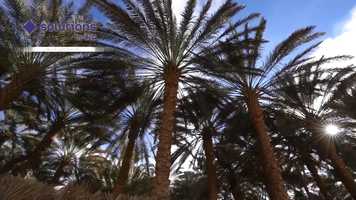 Free download Anas AbdulRaziq showreel video and edit with RedcoolMedia movie maker MovieStudio video editor online and AudioStudio audio editor onlin