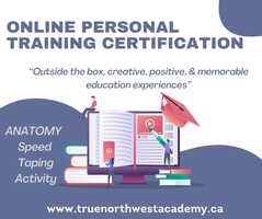 Free download Anatomy Speed Taping video and edit with RedcoolMedia movie maker MovieStudio video editor online and AudioStudio audio editor onlin