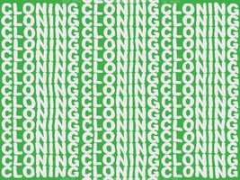 Free download Andrew Bernardo Type in Motion video and edit with RedcoolMedia movie maker MovieStudio video editor online and AudioStudio audio editor onlin