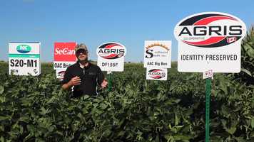 Free download Andrew McVittie LAC IP Soybeans August 2020 video and edit with RedcoolMedia movie maker MovieStudio video editor online and AudioStudio audio editor onlin