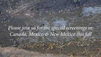 Free download And Those Who Dance it Surrender Their Hearts to Each Other (Trailer) video and edit with RedcoolMedia movie maker MovieStudio video editor online and AudioStudio audio editor onlin