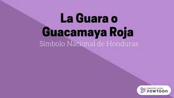 Free download Animacin Guara video and edit with RedcoolMedia movie maker MovieStudio video editor online and AudioStudio audio editor onlin