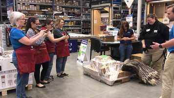 Free download Animal ambassador Pedzi makes a trip to the hardware store video and edit with RedcoolMedia movie maker MovieStudio video editor online and AudioStudio audio editor onlin