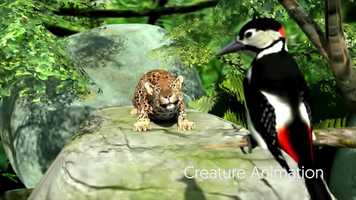 Free download Animal Animation Demo Reel 2018 video and edit with RedcoolMedia movie maker MovieStudio video editor online and AudioStudio audio editor onlin