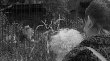 Free download Animal Antics / TRAILER 3 video and edit with RedcoolMedia movie maker MovieStudio video editor online and AudioStudio audio editor onlin