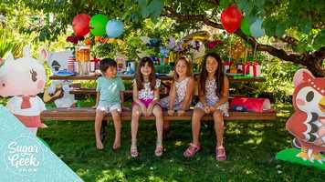 Free download Animal Crossing Birthday Party DIY Projects  Tutorials video and edit with RedcoolMedia movie maker MovieStudio video editor online and AudioStudio audio editor onlin