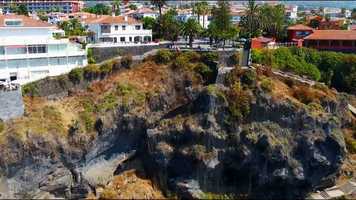 Free download Animal Embassy trailer video and edit with RedcoolMedia movie maker MovieStudio video editor online and AudioStudio audio editor onlin