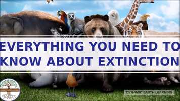 Free download Animal Extinction - Environmental Science Explainer Video video and edit with RedcoolMedia movie maker MovieStudio video editor online and AudioStudio audio editor onlin