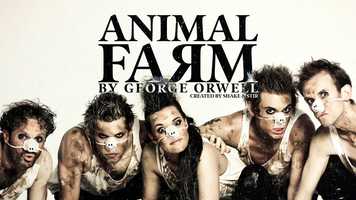Free download ANIMAL FARM by George Orwell created by Shake  Stir Theatre Co | Sat 30 May at CPAC video and edit with RedcoolMedia movie maker MovieStudio video editor online and AudioStudio audio editor onlin
