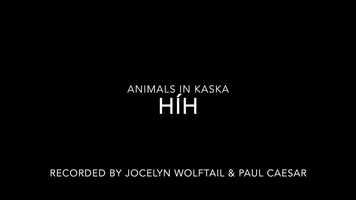 Free download Animal names video and edit with RedcoolMedia movie maker MovieStudio video editor online and AudioStudio audio editor onlin