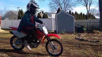 Free download Animal on her crf80 video and edit with RedcoolMedia movie maker MovieStudio video editor online and AudioStudio audio editor onlin