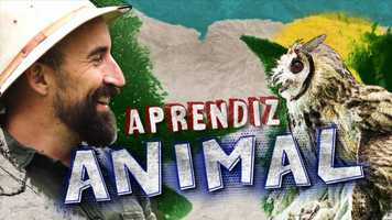 Free download Animal Planet - Aprendiz Animal - Screenwriter video and edit with RedcoolMedia movie maker MovieStudio video editor online and AudioStudio audio editor onlin