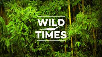 Free download Animal Planet - Wild Times video and edit with RedcoolMedia movie maker MovieStudio video editor online and AudioStudio audio editor onlin