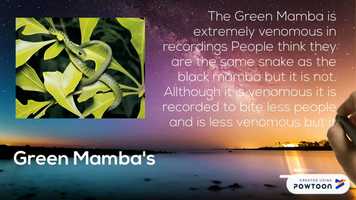 Free download Animals video and edit with RedcoolMedia movie maker MovieStudio video editor online and AudioStudio audio editor onlin