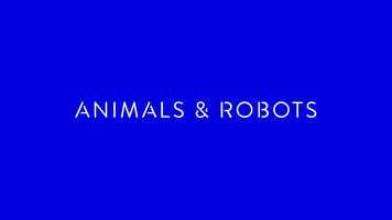 Free download Animals  Robots video and edit with RedcoolMedia movie maker MovieStudio video editor online and AudioStudio audio editor onlin