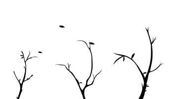 Free download Animation - 333 Jahre Bach video and edit with RedcoolMedia movie maker MovieStudio video editor online and AudioStudio audio editor onlin