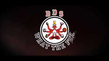 Free download Animation du logo : BDS Bureau des Sports video and edit with RedcoolMedia movie maker MovieStudio video editor online and AudioStudio audio editor onlin