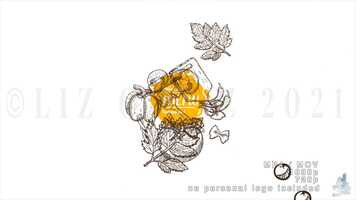 Free download Animation Effects video and edit with RedcoolMedia movie maker MovieStudio video editor online and AudioStudio audio editor onlin