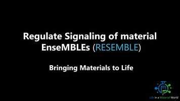 Free download Animation_FINAL_annotated.mp4 video and edit with RedcoolMedia movie maker MovieStudio video editor online and AudioStudio audio editor onlin