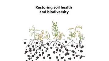 Free download animation_ pagina video and edit with RedcoolMedia movie maker MovieStudio video editor online and AudioStudio audio editor onlin