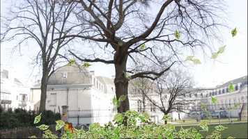 Free download Animation Reel Els Decaluwe video and edit with RedcoolMedia movie maker MovieStudio video editor online and AudioStudio audio editor onlin