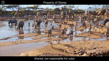 Free download Animation Showreel: November 2019 video and edit with RedcoolMedia movie maker MovieStudio video editor online and AudioStudio audio editor onlin