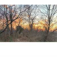 Free download animation_Xue video and edit with RedcoolMedia movie maker MovieStudio video editor online and AudioStudio audio editor onlin