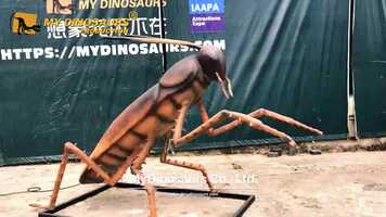 Free download Animatronic Insect Realistic Giant Cockroach for Park Decoration video and edit with RedcoolMedia movie maker MovieStudio video editor online and AudioStudio audio editor onlin