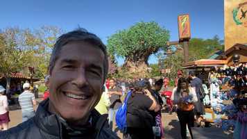 Free download An Insight i Never Taught at Disney video and edit with RedcoolMedia movie maker MovieStudio video editor online and AudioStudio audio editor onlin