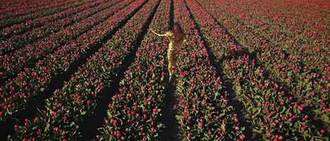 Free download ANITA! - MADE OF STARS video and edit with RedcoolMedia movie maker MovieStudio video editor online and AudioStudio audio editor onlin