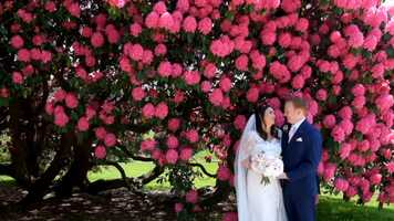 Free download Annabel Jayne film 1080 video and edit with RedcoolMedia movie maker MovieStudio video editor online and AudioStudio audio editor onlin