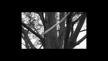 Free download Anna Howson and Meg Didcock visualising sound video and edit with RedcoolMedia movie maker MovieStudio video editor online and AudioStudio audio editor onlin