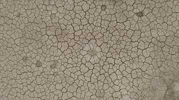 Free download Ann Arbor, MI B-Epic Sales Elev8 Avid Minimizes Fine Wrinkles | Opening: AR AZ AK AL WY WI WV | video and edit with RedcoolMedia movie maker MovieStudio video editor online and AudioStudio audio editor onlin