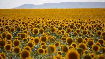 Free download Anna Robinson - Filmmaker/Videographer video and edit with RedcoolMedia movie maker MovieStudio video editor online and AudioStudio audio editor onlin