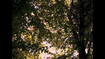 Free download An Ode to Life Before Coronavirus video and edit with RedcoolMedia movie maker MovieStudio video editor online and AudioStudio audio editor onlin