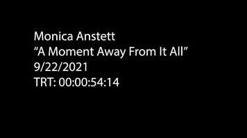 Free download AnstettM_Film110_Project1 video and edit with RedcoolMedia movie maker MovieStudio video editor online and AudioStudio audio editor onlin