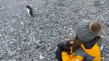 Free download Antartica Family Fun video and edit with RedcoolMedia movie maker MovieStudio video editor online and AudioStudio audio editor onlin